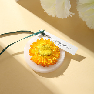 衣柜香薰蜡片室内家用持久房间衣橱鞋 柜香氛固体留挂件空气清新剂