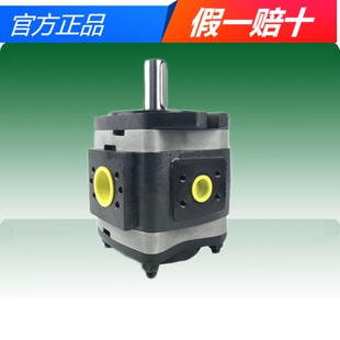 IPV4 油泵 IPV5 171 福伊特 101 IPV3