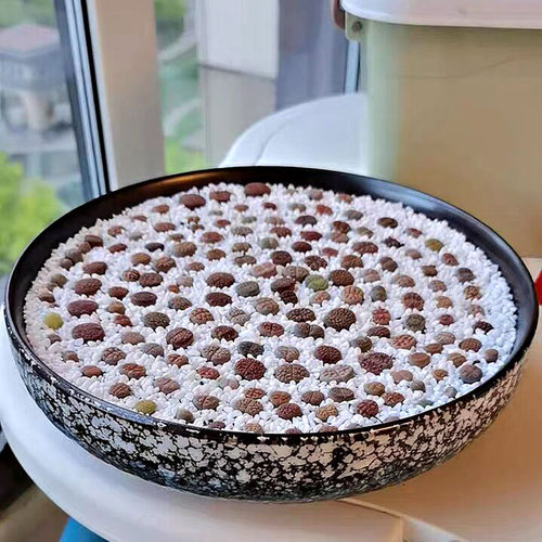 特大号多肉花盆拼盘植物陶瓷创意