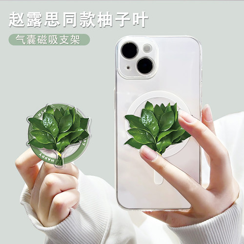 柚子叶磁吸气囊支架壳适用于苹果