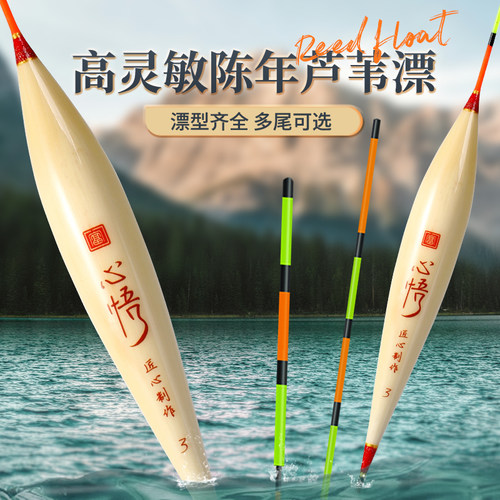 富源百川芦苇漂鲫鱼鲤鱼