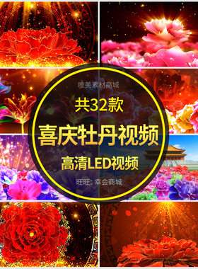 喜庆牡丹花开LED视频盛世开场婚礼晚会演出秀大屏幕视屏背景素材