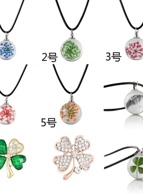 创意新款饰品流行饰蒲公英四叶草