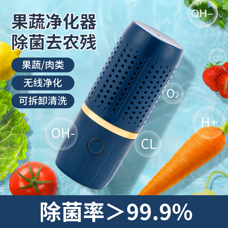 果蔬净化器肉类蔬菜水果净化机家用便携果蔬清洁机去除农残洗菜机