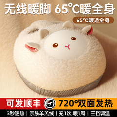 暖脚宝保暖神器冬天办公室桌下睡觉用充电暖被窝捂脚取暖加热脚垫