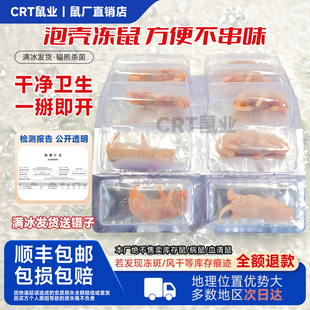 【泡壳包装】冻鼠红皮开口料粉蛇饲料爬虫食品物独立胶囊守宫蜥蜴