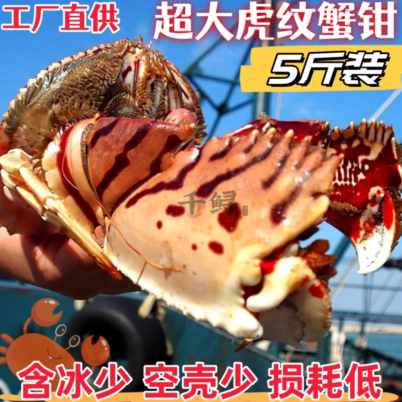 【7年老店】5斤超大虎纹蟹脚蟹钳
