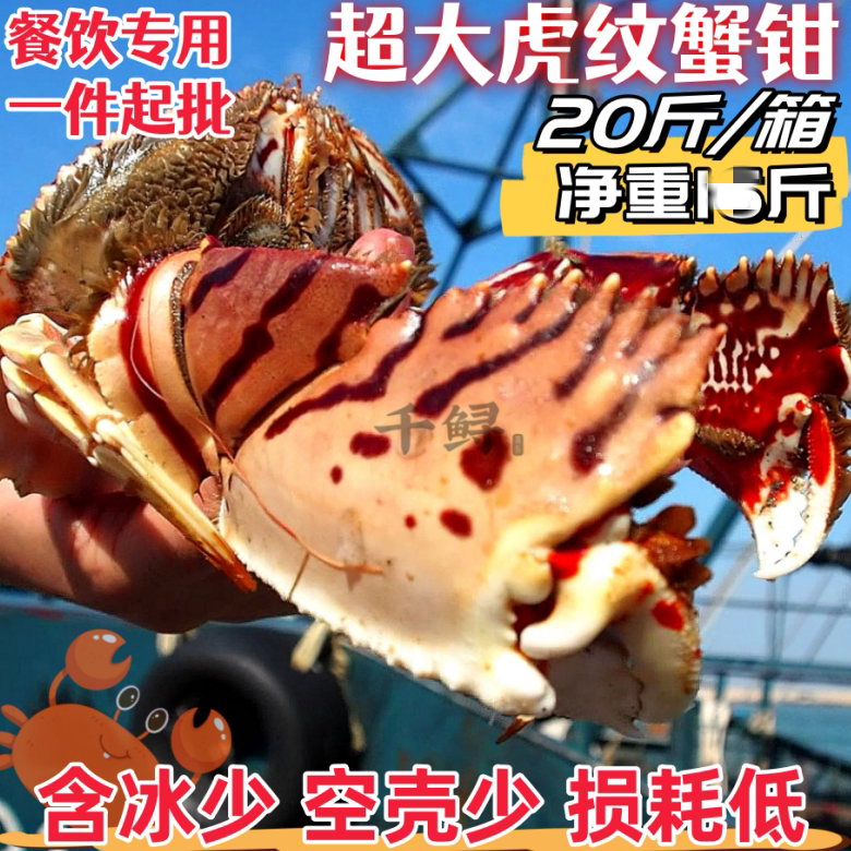 超大虎纹蟹钳20斤工厂顺丰发货