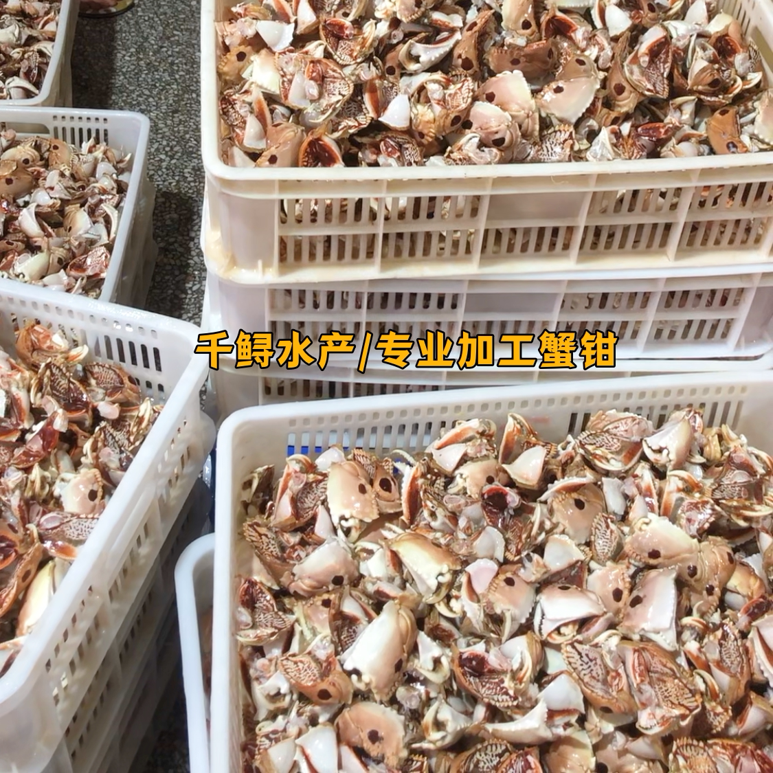 【10斤装 冰少】新鲜元宝蟹脚面包蟹钳新鲜冷冻水产馒头冻蟹顺丰