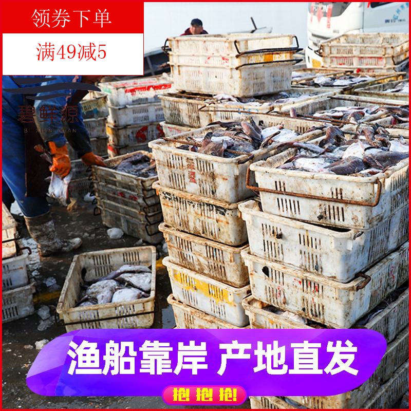新鲜安康鱼深海鱼大嘴鱼哈蟆鱼鮟鱇鱼鱼肝鱼肚丑鱼无刺鱼海鲜水产