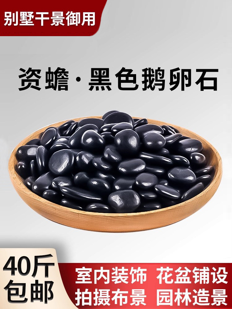黑色鹅卵石抛光雨花石原石天然装饰造景多肉盆栽庭院铺路小石头子