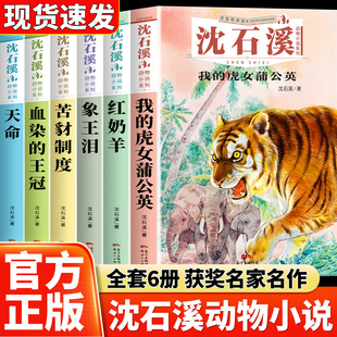 沈石溪动物小说正版注音版天命血染的王冠我的虎女蒲公英苦豺制度象王泪六年级下册必读的课外书一二三四五年级小学生阅读课外书籍