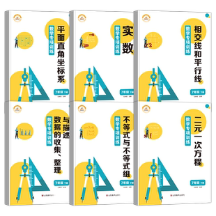 2026新版七年级下册数学专项训练全套6册全国通用初中数学必刷题重难点专题突破二元一次方程专项训练初一数学专题训练同步练习册