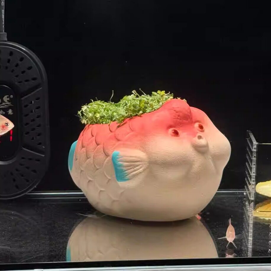 陶瓷陶罐鱼缸造景躲避屋水草装饰