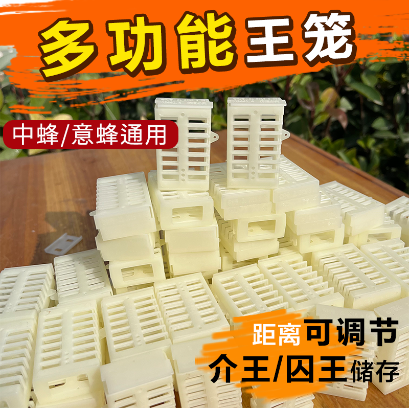 中意蜂通用多功能王笼加厚塑料蜜蜂囚王介王笼关蜂王养蜂工具