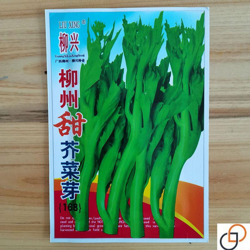 甜芥菜芽种子四季易种柳州甜芥菜苔种籽早熟脆嫩无渣青梗菜心种孑