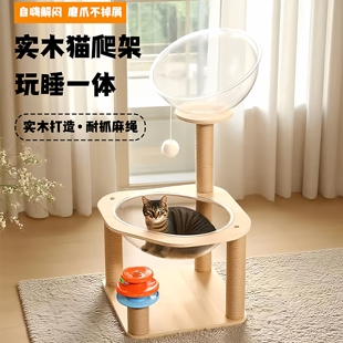 实木猫爬架猫窝猫树一体双层太空舱家用猫爬架子不占地小型猫架