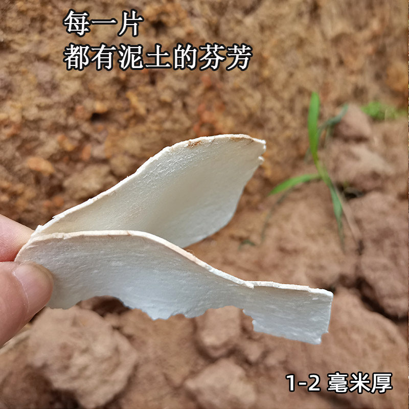 云南野生茯苓中药材食用