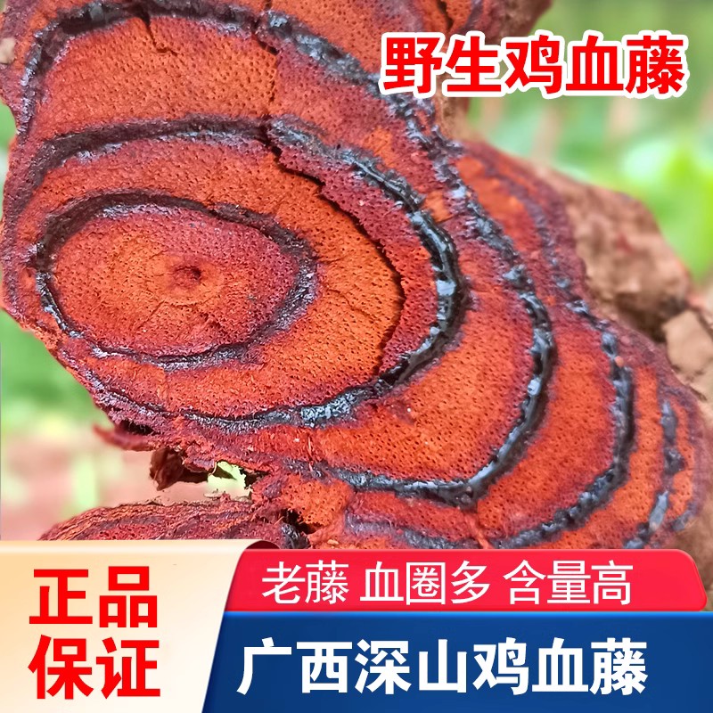 广西百年鸡血藤药材野生老藤血藤