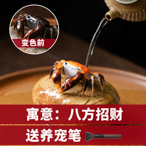 几悟陶瓷功夫茶具招财变色茶宠可养摆件螃蟹茶玩禅意茶道茶台宠物