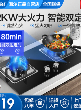海尔燃气灶天然气灶双灶家用液化气灶具猛火台式嵌入式台式Q2BE7