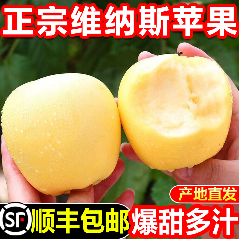 顺丰正宗维纳斯黄金苹果5斤山东水果新鲜礼盒当季时令黄胖子