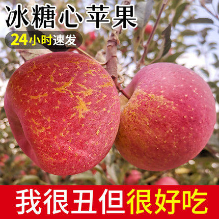 大凉山盐源冰糖心丑苹果脆甜当季新鲜水果整箱10斤非云南昭通