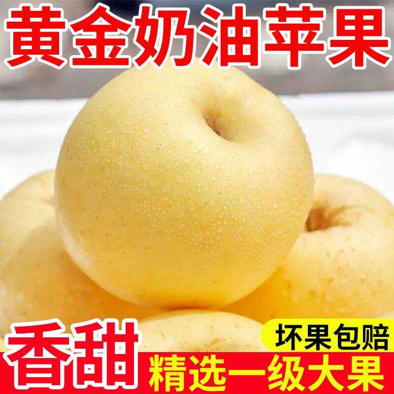 现摘奶油富士脆甜苹果冰糖心黄金苹果新鲜孕妇春季水果10斤
