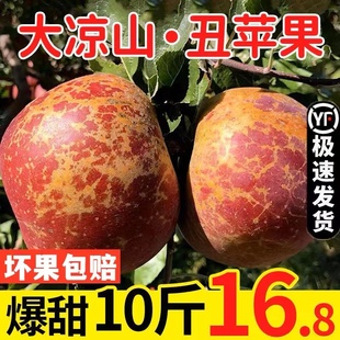 红富士新鲜苹果盐源天然大凉山水果丑苹果 正宗整箱10冰糖心当季