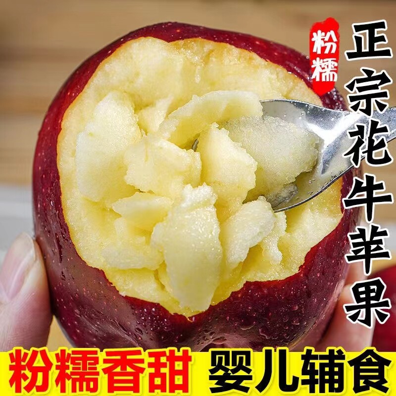 红蛇果粉苹果10斤整箱婴儿新鲜水果大果软糯沙甜宝宝老人辅食