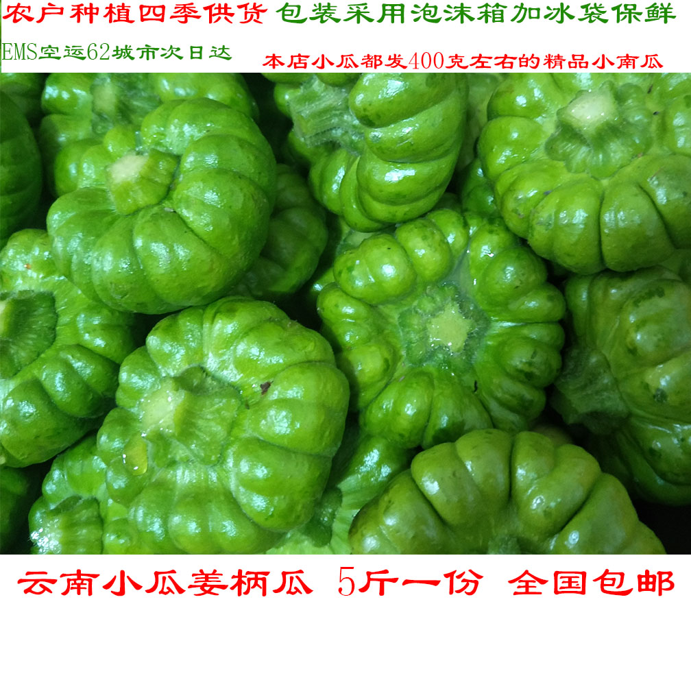 南瓜 云南特产新鲜蔬菜小瓜姜柄瓜面瓜小绿嫩瓜全国包邮