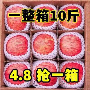 整箱冰糖心脆甜大10 正宗洛川苹果9斤新鲜水果陕西红富士当季