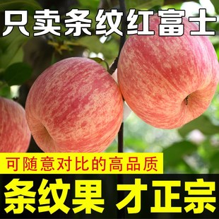 新鲜 条纹脆甜烟台水果山东一级整箱栖霞9斤苹果红富士当季