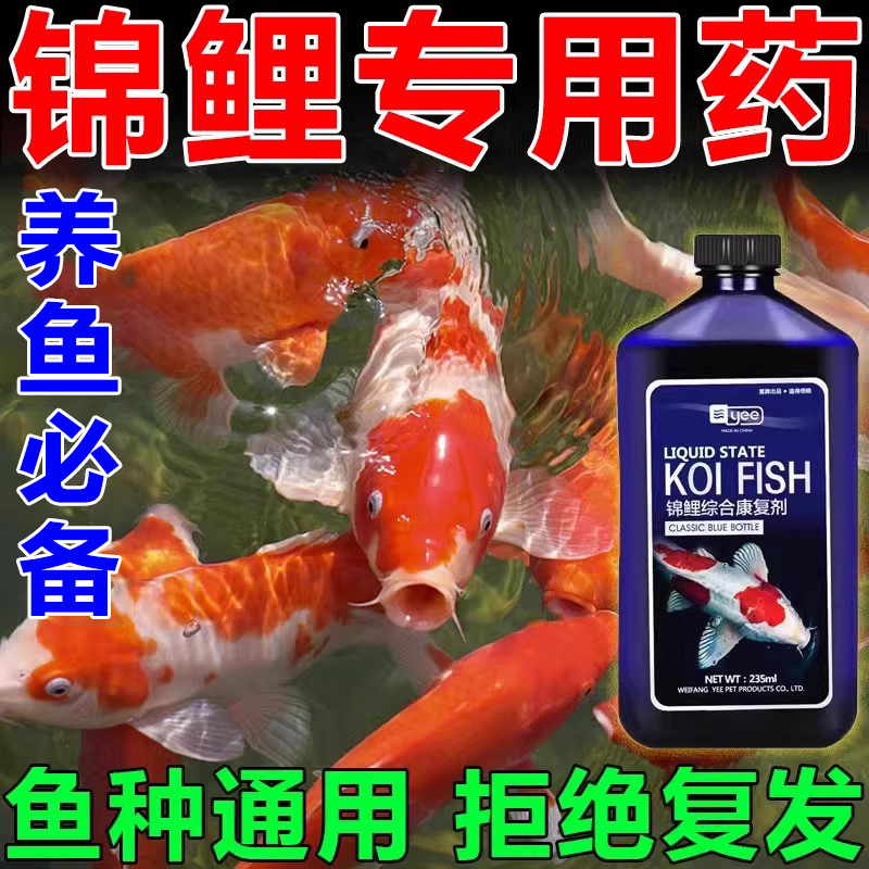 锦鲤鱼病专用药烂身烂尾烂鳍烂腮白点净观赏金鱼消毒杀菌专用药液