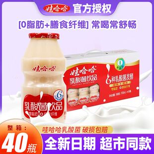 40瓶哇哈哈益生菌饮料儿童酸奶含乳饮品 娃哈哈乳酸菌饮品100ml