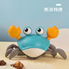 Water and land amphibious crab-blue