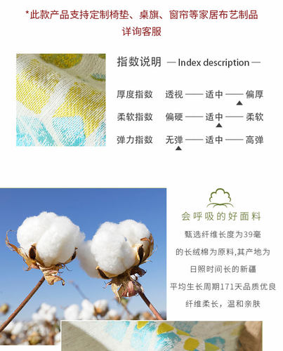 在蓬莱餐桌桌旗北欧欧式美式轻奢高端茶几茶旗鞋柜电视柜盖布床i.