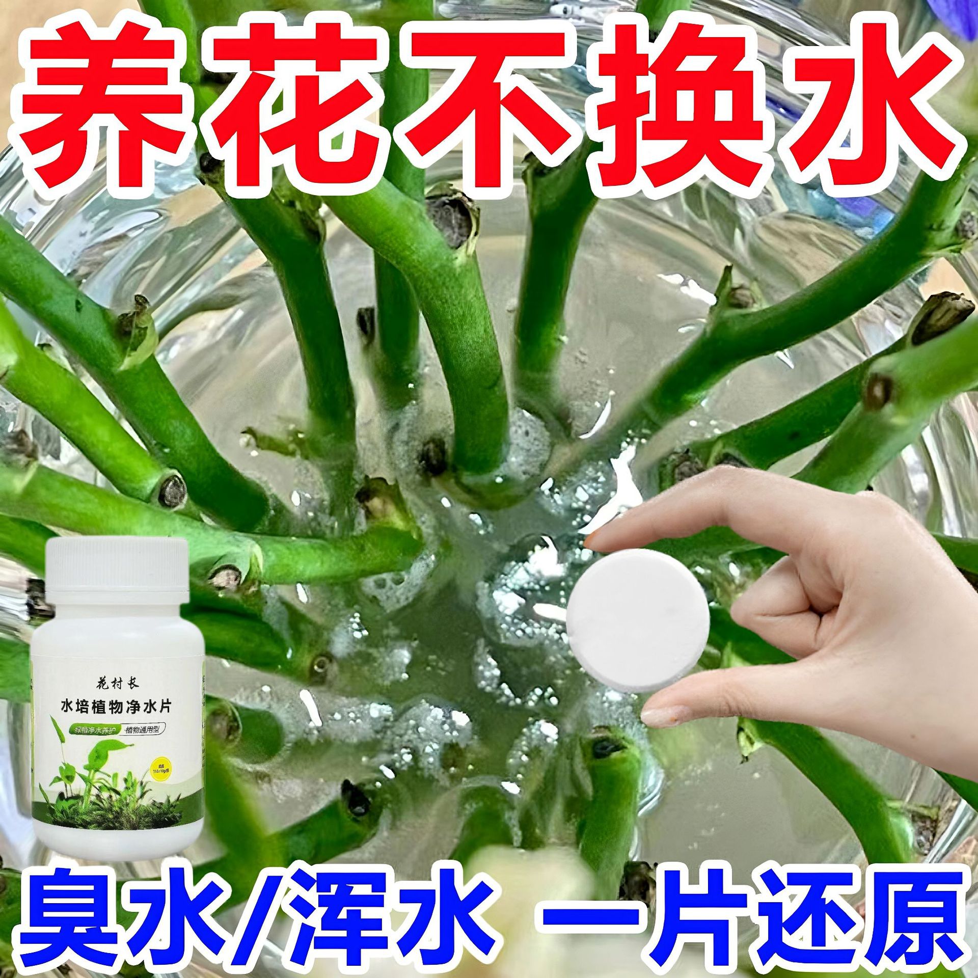 水培植物净水片消毒片鲜花保鲜富贵竹营养液花店净化水质