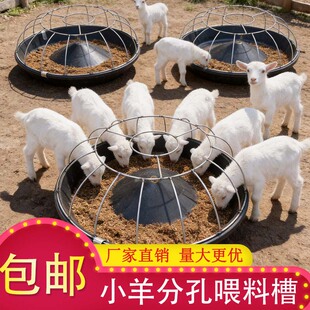 新款小羊羔料槽羔羊补料槽小羊羔开口料槽大羊吃不到加厚食槽水槽
