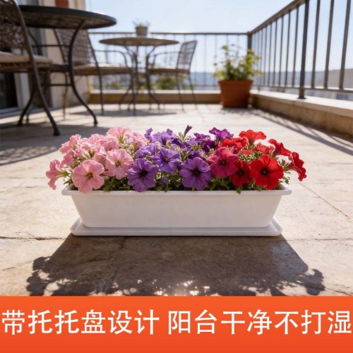 网红耐用长方形便宜花盆大号塑料阳台种菜盆蔬菜养花中国风种植箱