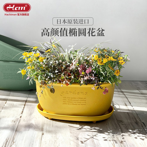 日本进口轻奢高级感家用花盆加厚