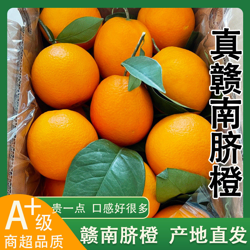 5斤江西赣南正宗脐橙现摘大果