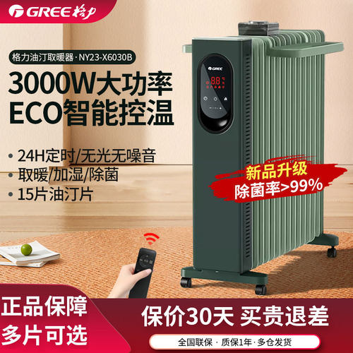 格力取暖器电热油汀置地客厅卧室