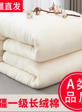 新疆棉花被芯一级优质长绒棉被子冬被加厚保暖棉絮床垫手工正品