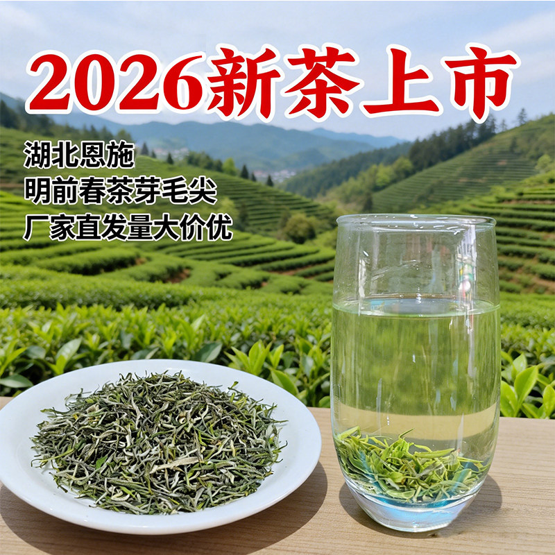 含芽90%以上恩施毛尖2026特色产区绿茶