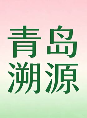 【大潘专享】瓢虫幸运四叶草小雏菊项链20098 20097 20102