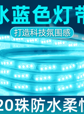 led冰蓝色灯带氛围客厅户外防水灯带ktv霓虹室外柔性四排超亮灯条