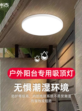 户外吸顶灯庭院屋簷室外室内阳台灯农村自建房大门门口防虫照明灯