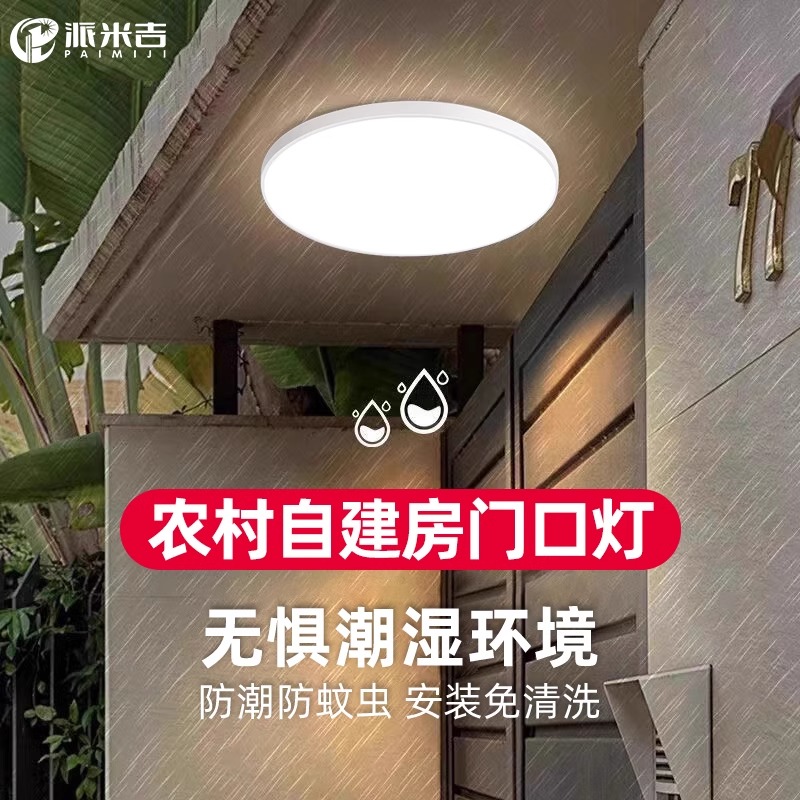 农村自建房门口灯户外吸顶灯庭院防水屋檐阳台灯室外灯大门照明灯