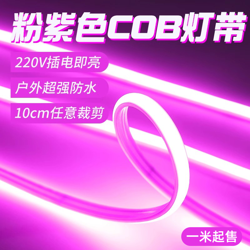 粉色紫色cob灯带霓虹220v户外